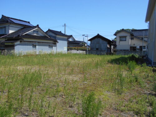  (外観)