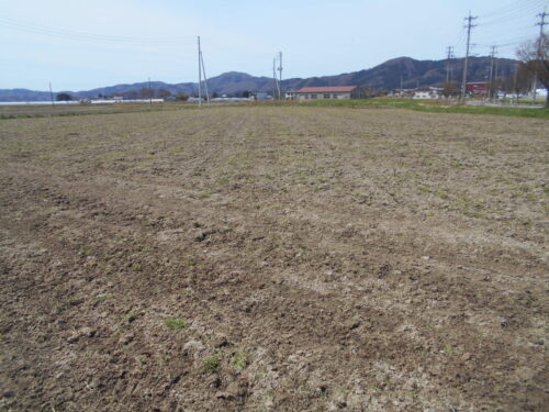  (外観)