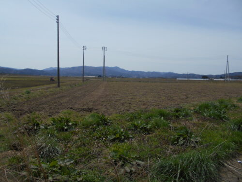  (外観)