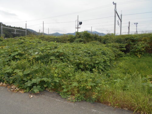  (外観)