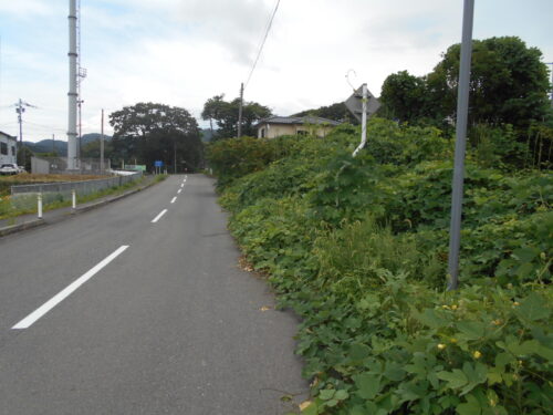  (外観)