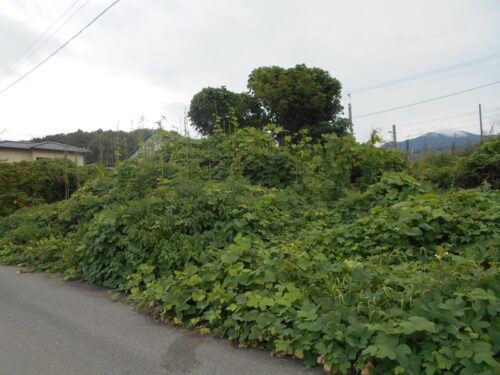  (外観)