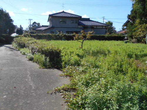  (外観)